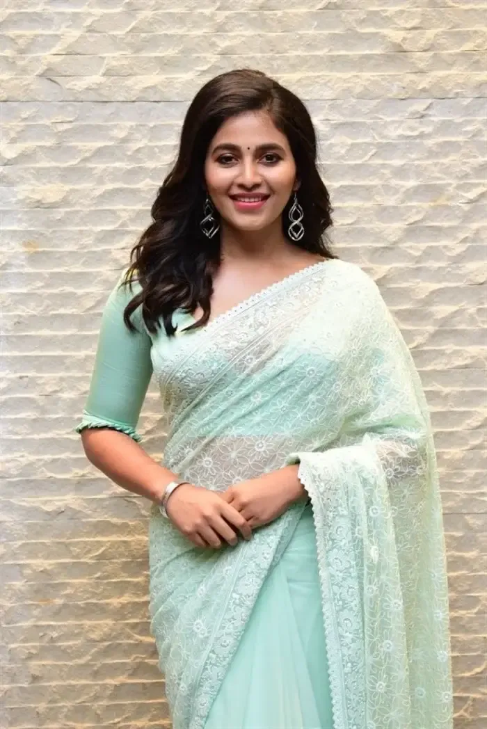 SOUTH INDIAN ACTRESS ANJALI STILLS IN TRADITIONAL LIGHT GREEN SAREE 12